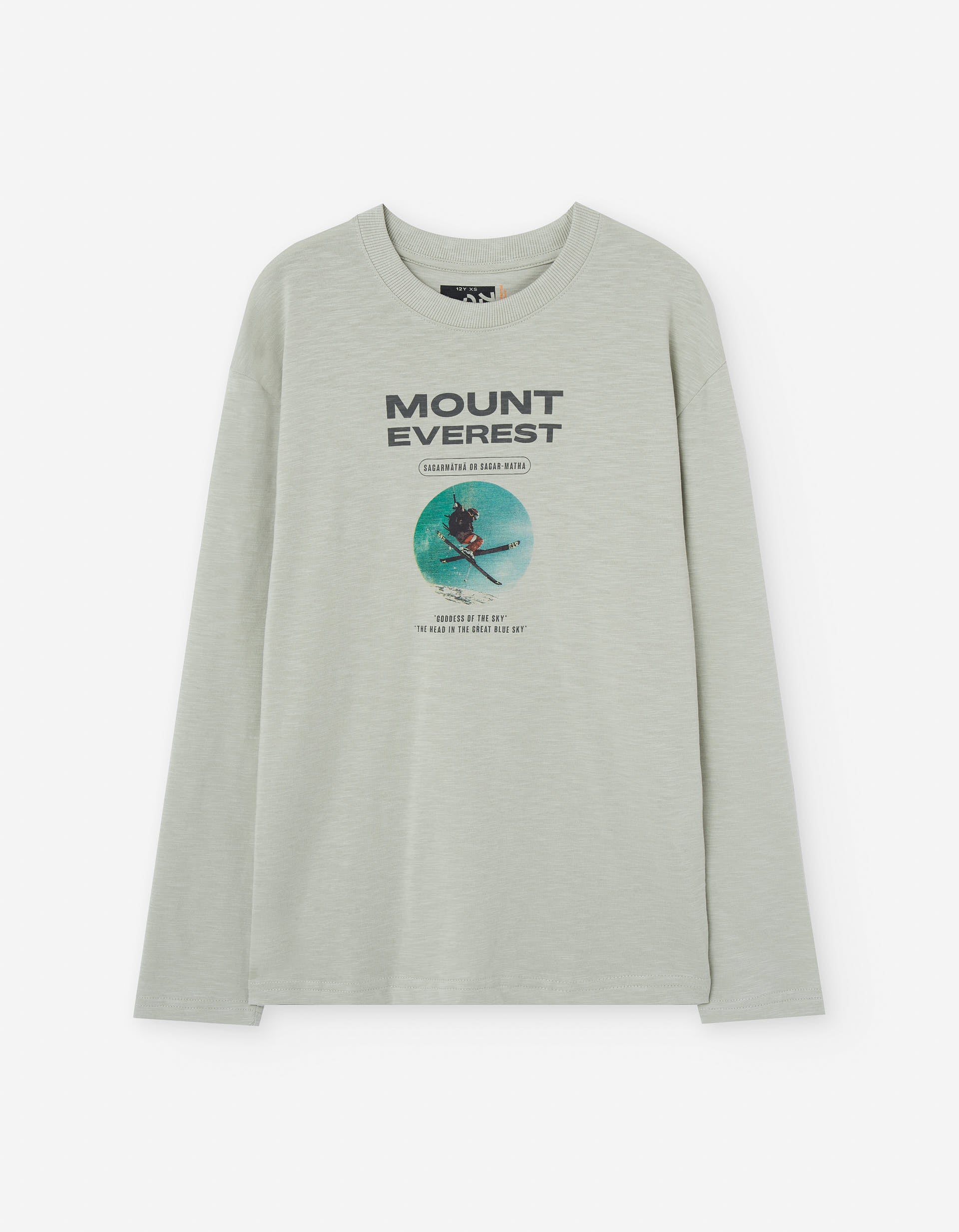 Long sleeve cotton T-shirt with Mount Everest print for boys, grey
