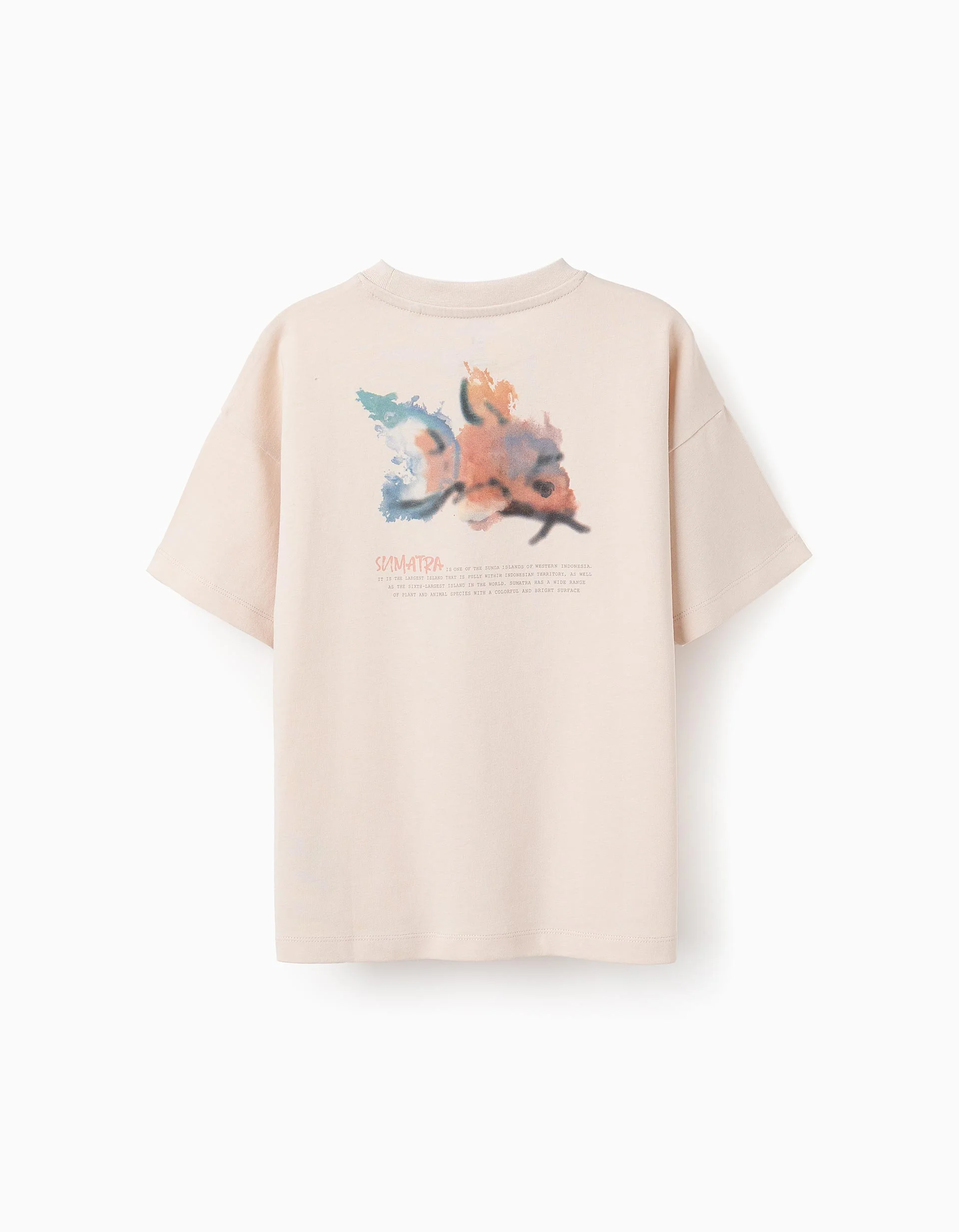 T-shirt with Back Print for Boys, Beige - Image 2