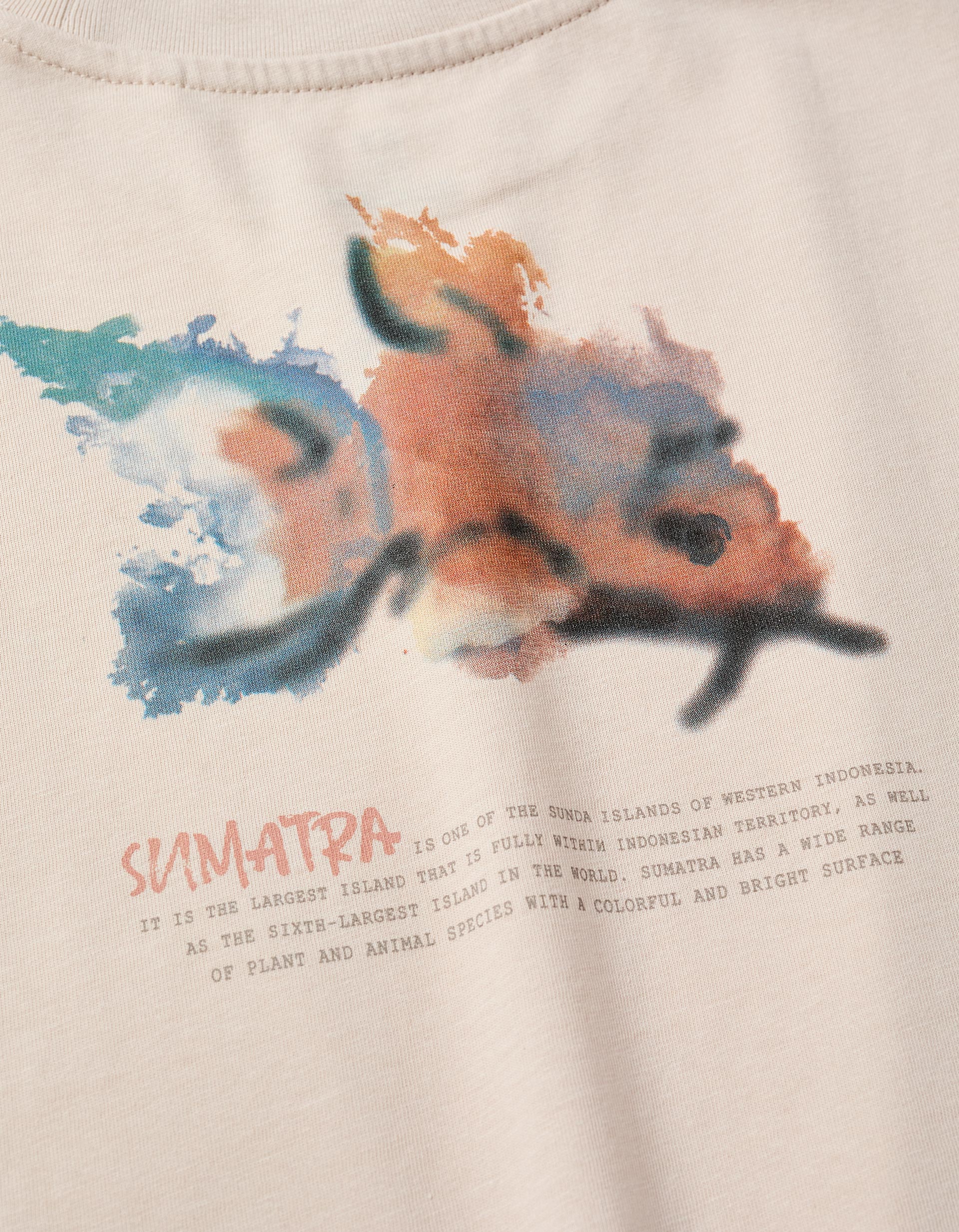 T-shirt with Back Print for Boys, Beige - Image 4